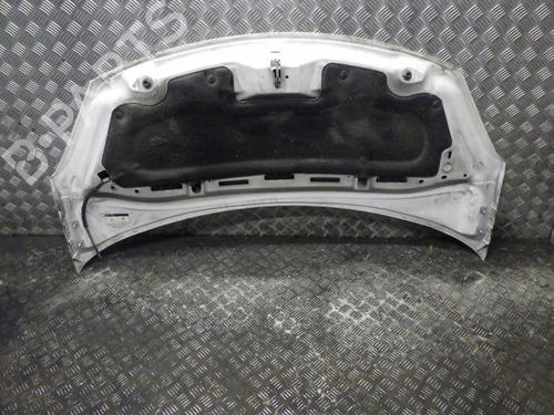 hood-citroen-ds3-sa_-2009-2010-2011-2012-2013-2014-2015-2016-27406822 main image