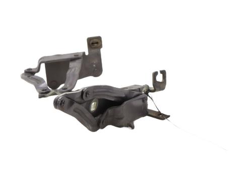 Used Hinge/Door check strap Hinge/Door check strap RENAULT SCÉNIC II (JM0/1_) 1.5 dCi (JM02, JM13) (101 hp) 30972930 30972930