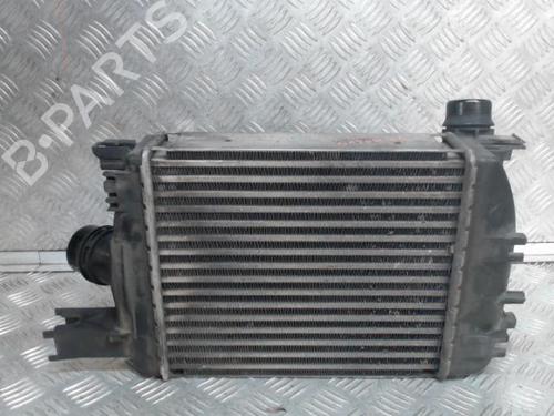Used Intercooler DACIA DUSTER (HS_) 1.5 dCi (109 hp) 24265691