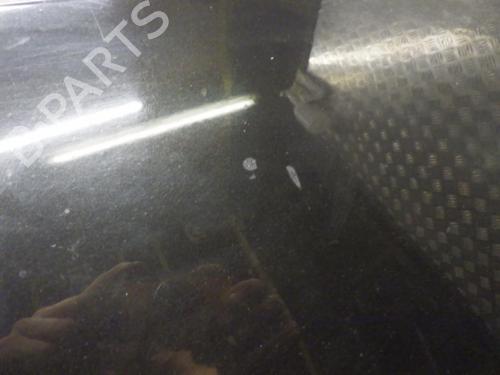Hood RENAULT CLIO III (BR0/1, CR0/1) 1.5 dCi (BR17, CR17) | BP24281977C1 