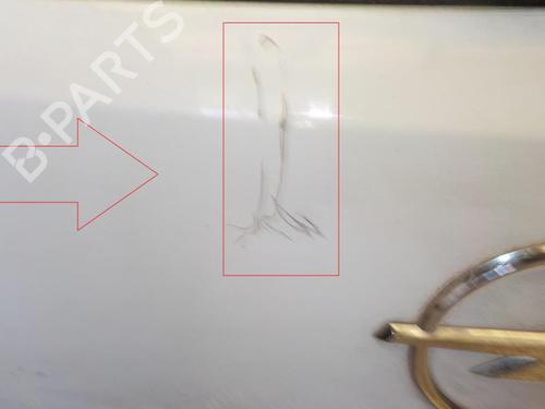 Used Tailgate OPEL CORSA D (S07) 1.3 CDTI (L08, L68) (75 hp) 24273817