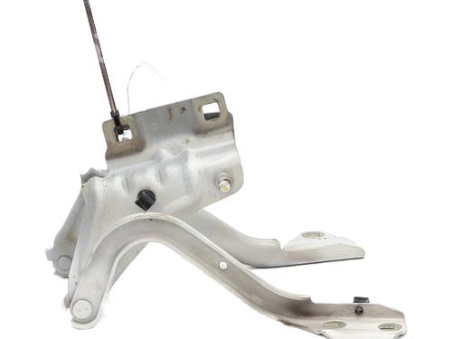 Used Hinge/Door check strap Hinge/Door check strap RENAULT MEGANE IV Hatchback (B9A/M/N_) 1.6 TCe 205 (B9MV) (205 hp) 35748374 35748374