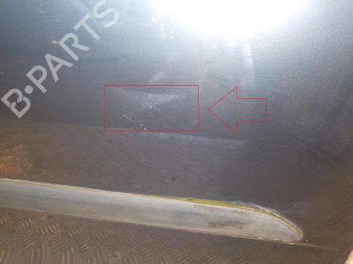 Right front door SKODA FABIA II (542) 1.2 | BP24267972C3 