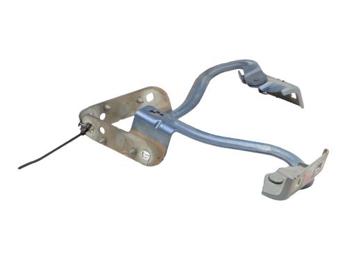 hingedoor-check-strap-renault-modus-grand-modus-fjp0_-2004-36480028 main image