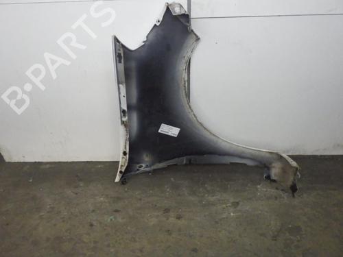 Left front fenders RENAULT CLIO III (BR0/1, CR0/1) 1.5 dCi (BR17, CR17) | BP30157073C41 