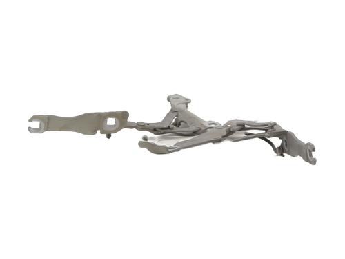Hinge/Door check strap MINI MINI (R56) Cooper | BP27883394C146 