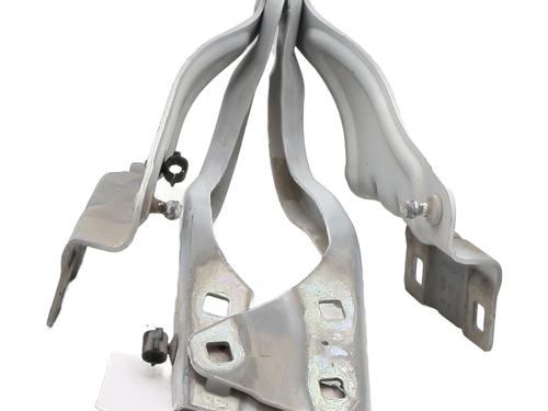 Dørhængsel/Dørbegrænser RENAULT MEGANE IV Hatchback (B9A/M/N_) 1.5 dCi 110 (B9A3) (110 hp) 31884078