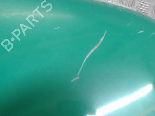 Right front fenders MINI MINI (R56) Cooper SD | BP24271471C42 