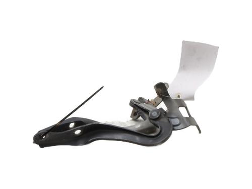 Hinge/Door check strap CITROËN C1 (PM_, PN_) 1.0 | BP29209397C146 