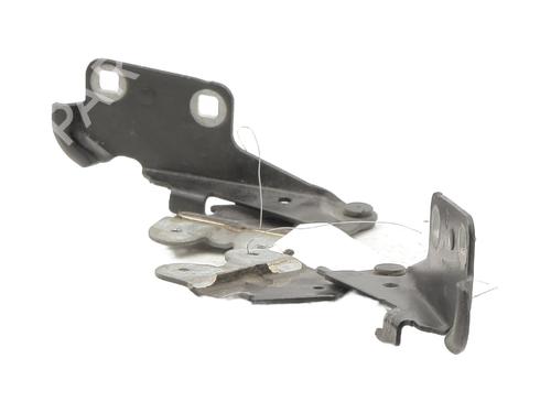 Hinge/Door check strap RENAULT VEL SATIS (BJ0_) 3.0 dCi (BJ0S) | BP26966735C146 