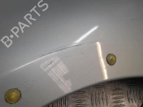 Left front fenders RENAULT KANGOO (KC0/1_) 1.9 dCi 4x4 (KC0V) | BP29414220C41 