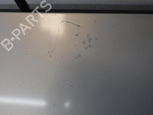 Tailgate RENAULT MEGANE II (BM0/1_, CM0/1_) 1.6 16V (BM0C, CM0C) | BP28476396C6 