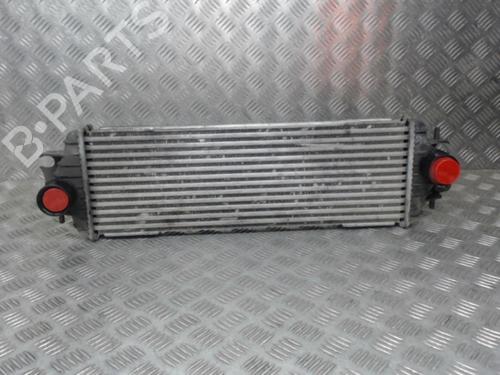 Used Intercooler RENAULT TRAFIC II Van (FL) 1.9 dCi 100 (FL0C) (101 hp) 24280634