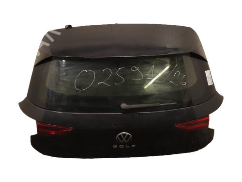 Used Tailgate Tailgate VW GOLF VIII (CD1, DA1) 2.0 TDI (116 hp) 39981785 39981785