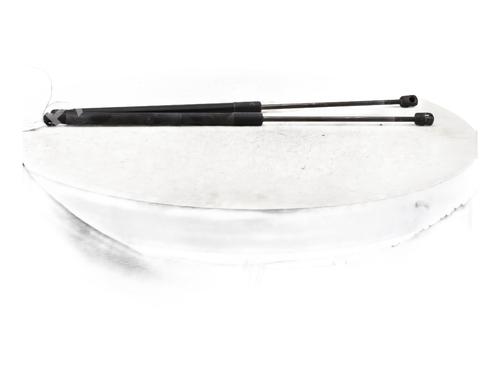 Used Tailgate lift support BMW X1 (E84) xDrive 20 d (177 hp) 29506508