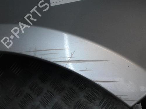 Right front fenders RENAULT CLIO III (BR0/1, CR0/1) 1.5 dCi (BR17, CR17) | BP29161864C42 