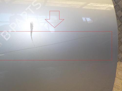 Right front door MINI MINI (R50, R53) One | BP24282687C3 