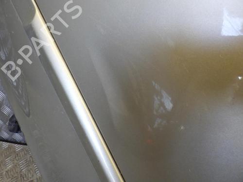 Left rear door RENAULT CLIO III (BR0/1, CR0/1) 1.5 dCi (BR17, CR17) | BP24272262C4 