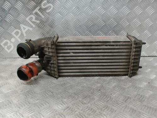 Used Intercooler Intercooler CITROËN C3 III (SX) 1.6 BlueHDi 75 (75 hp) 24275789 24275789
