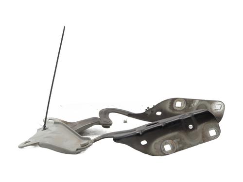 Hinge/Door check strap RENAULT TWINGO II (CN0_) 1.5 dCi (CN0E) | BP30856598C146