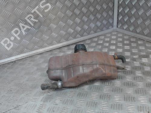 Used Expansion tank RENAULT CLIO III (BR0/1, CR0/1) 1.5 dCi (75 hp) 24268833