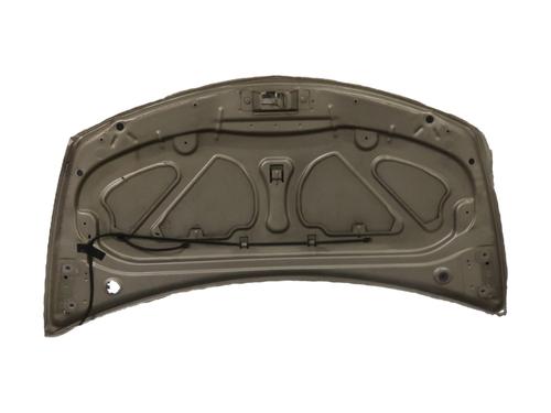 hood-renault-clio-iii-br01-cr01-2005-2006-2007-2008-2009-2010-2011-2012-2013-2014-36860738 main image
