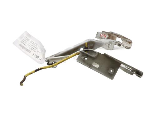 Hinge/Door check strap CITROËN C4 Picasso I MPV (UD_) 1.6 HDi 110 | BP29184865C146 