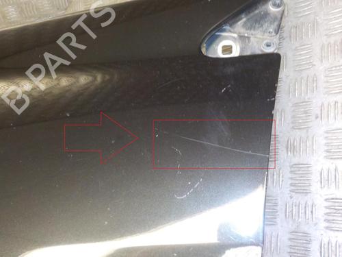 Left front fenders RENAULT LAGUNA III Grandtour (KT0/1) 2.0 dCi (KT01, KT08, KT09, KT0K, KT12, KT1D, KT1W) 631010032R