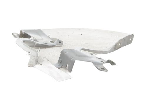 Hinge/Door check strap RENAULT CLIO IV (BH_) 1.5 dCi 90 | BP27722793C146 