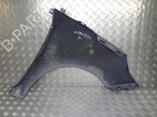Left front fenders RENAULT SCÉNIC III (JZ0/1_) 1.5 dCi | BP24272868C41 