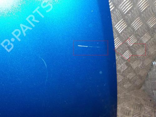 Used Hood RENAULT CLIO III (BR0/1, CR0/1) 1.5 dCi (75 hp) 24889784