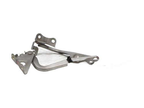Hinge/Door check strap TOYOTA RAV 4 III (_A3_) 2.2 D 4WD (ALA30_, ALA30R) | BP28215794C146 