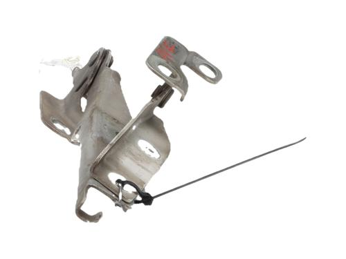 hingedoor-check-strap-citroen-c3-ii-sc_-2009-36953971 main image
