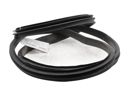 Used Rubber door seal RENAULT SCÉNIC IV (J9_) 1.7 Blue dCi 120 (J9A7, J9A8) (120 hp) 27324745