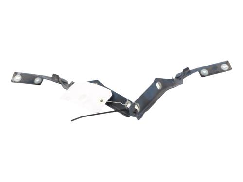 Hinge/Door check strap CITROËN BERLINGO MULTISPACE (B9) | BP36427793C146 - Image 3