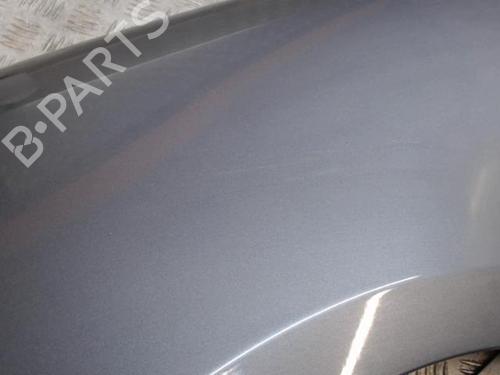 Left front fenders RENAULT CLIO III (BR0/1, CR0/1) 1.5 dCi (BR17, CR17) | BP24270875C41 