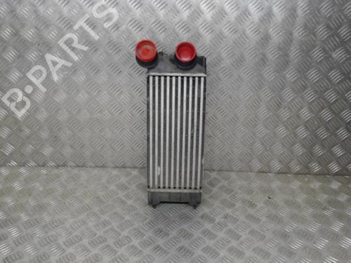 Used Intercooler CITROËN C4 II (NC_) 1.6 HDi 90 (92 hp) 24889785