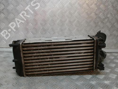 Intercooler Intercooler CITROËN BERLINGO MULTISPACE (B9) 1.6 HDi 110 (109 hp) 24276737 24276737