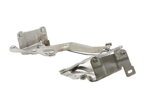 Used Hinge/Door check strap RENAULT GRAND SCÉNIC II (JM0/1_) 1.9 dCi (JM14) (131 hp) 31024699