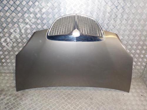 Used Hood LANCIA MUSA (350_) 1.3 D Multijet (350.AXB11, 350.AXB1A) (70 hp) 24273705