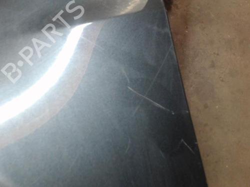 Left front fenders RENAULT CLIO III (BR0/1, CR0/1) 1.6 16V (BR09, BR0T, CR09, CR0T) | BP27685706C41 