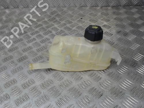 expansion-tank-renault-scenic-iii-jz01_-2008-2009-2010-2011-2012-2013-2014-2015-2016-24280049 main image
