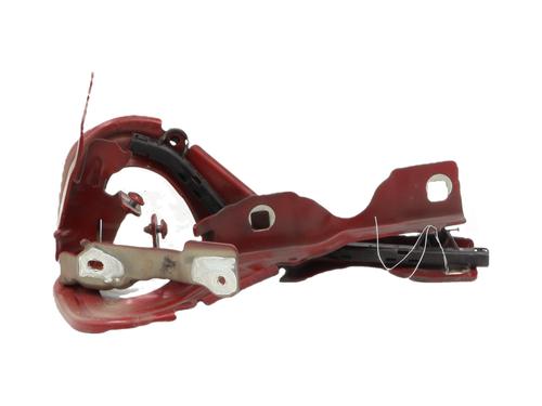 hingedoor-check-strap-citroen-c3-iii-sx-2016-36169282 main image