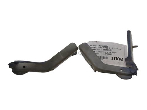 Used Hinge/Door check strap PEUGEOT 607 (9D, 9U) 2.2 HDi (133 hp) 29378013