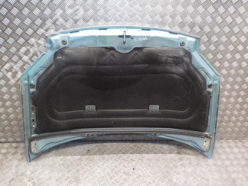 Used Hood RENAULT SCÉNIC II (JM0/1_) 1.9 dCi (JM14) (131 hp) 24268839