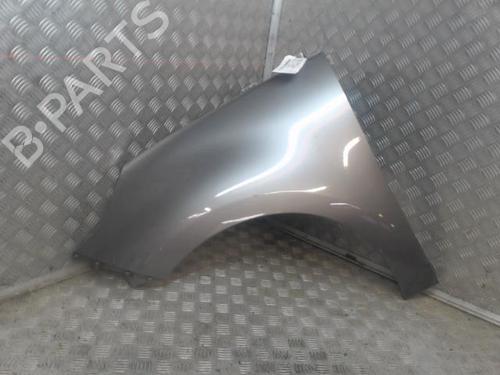 Left front fenders RENAULT SCÉNIC III (JZ0/1_) 1.5 dCi | BP24539548C41 
