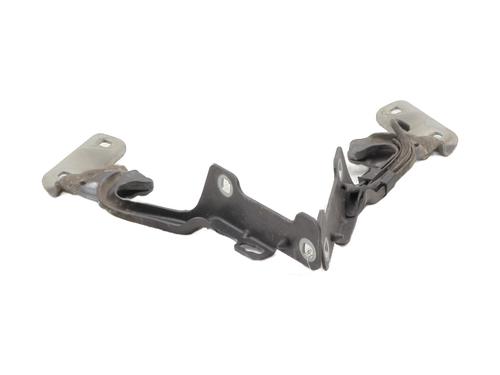 Hinge/Door check strap RENAULT CLIO III (BR0/1, CR0/1) 1.6 16V (BR09, BR0T, CR09, CR0T) | BP27677246C146 