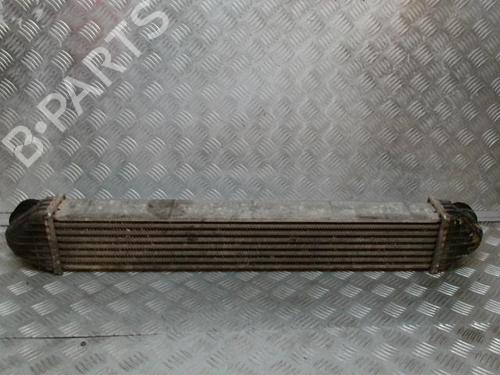 Used Intercooler MERCEDES-BENZ A-CLASS (W169) A 180 CDI (169.007, 169.307) (109 hp) 24268163