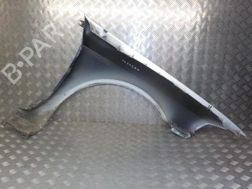 Left front fenders RENAULT LAGUNA II (BG0/1_) 1.9 dCi (BG08, BG0G) | BP24282301C41 