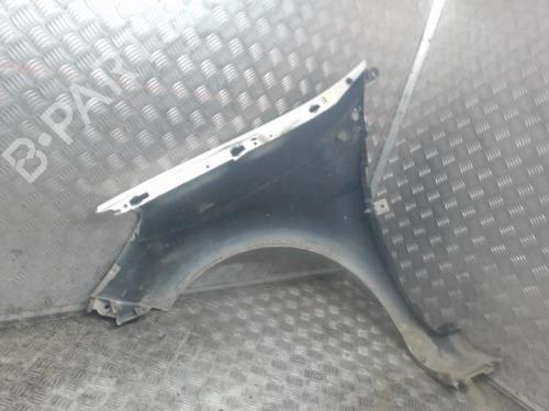 Right front fenders RENAULT CLIO III (BR0/1, CR0/1) 1.5 dCi (BR17, CR17) | BP29571068C42 
